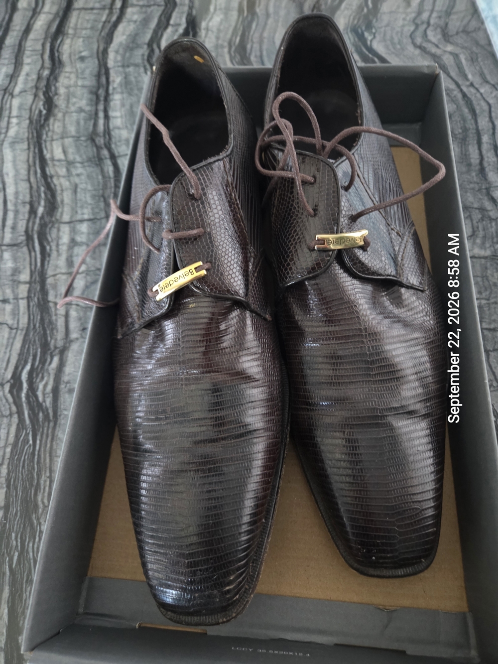 Belvedere Men's Dress Derbys in Dark Brown Teju Lizard No Creases Gently Used